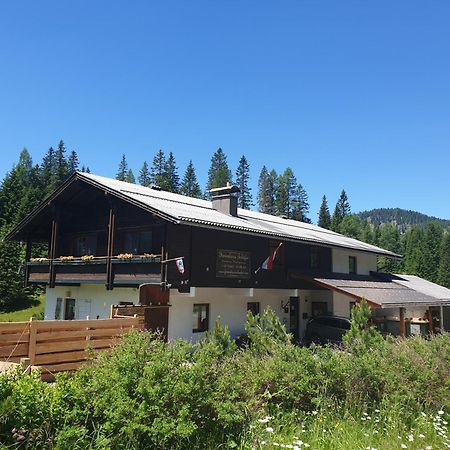 Ferienhaus Schaefer - Apartments - Wintersports - Family Holiday - Holiday With Your Dog - Rural & Scenic Flattnitz Exterior foto