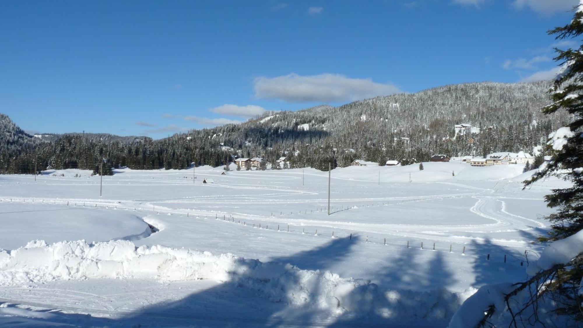 Ferienhaus Schaefer - Apartments - Wintersports - Family Holiday - Holiday With Your Dog - Rural & Scenic Flattnitz Exterior foto