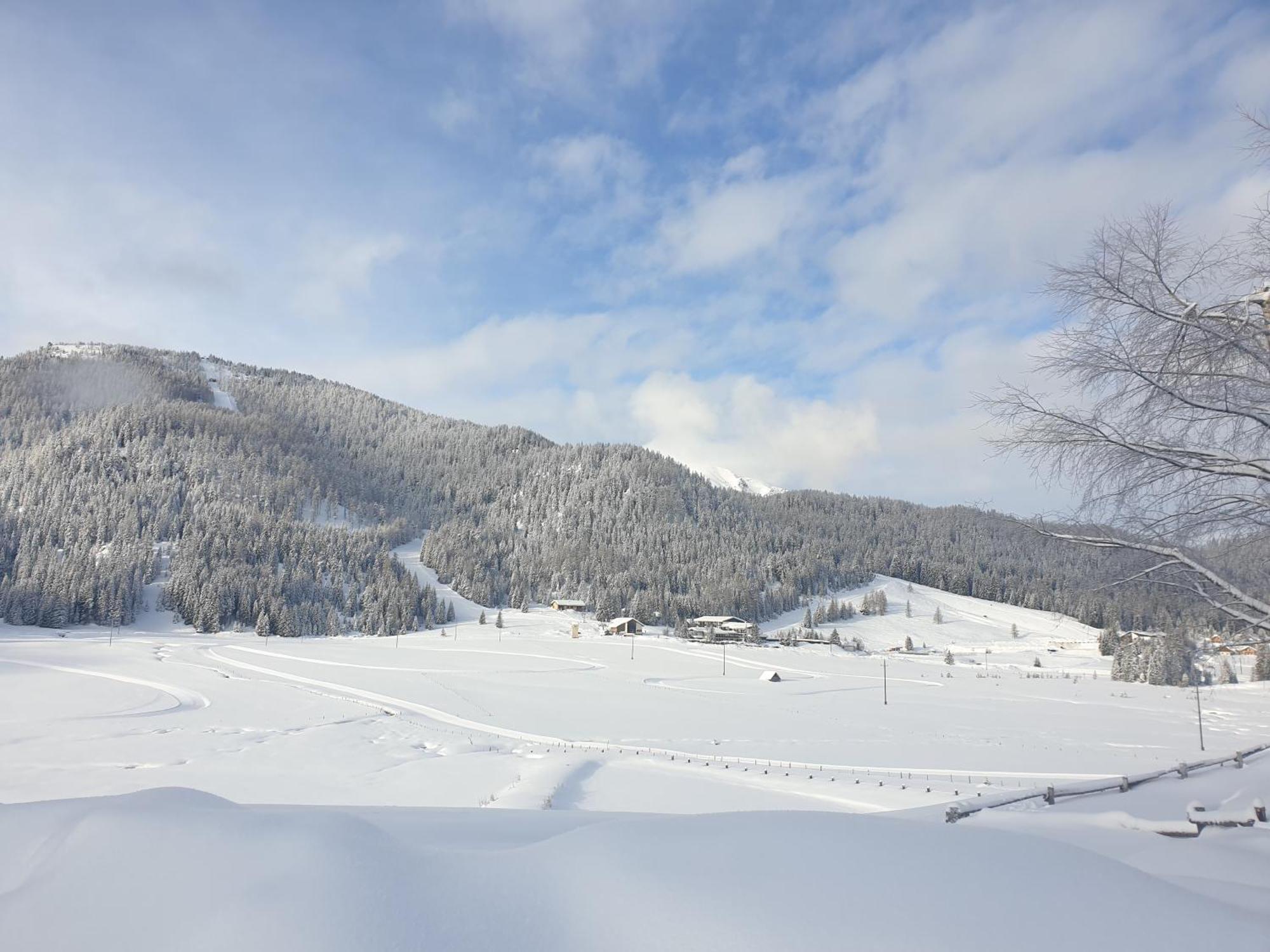 Ferienhaus Schaefer - Apartments - Wintersports - Family Holiday - Holiday With Your Dog - Rural & Scenic Flattnitz Exterior foto