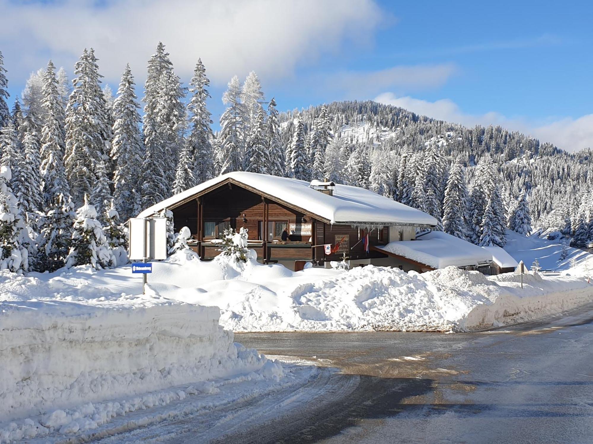 Ferienhaus Schaefer - Apartments - Wintersports - Family Holiday - Holiday With Your Dog - Rural & Scenic Flattnitz Exterior foto
