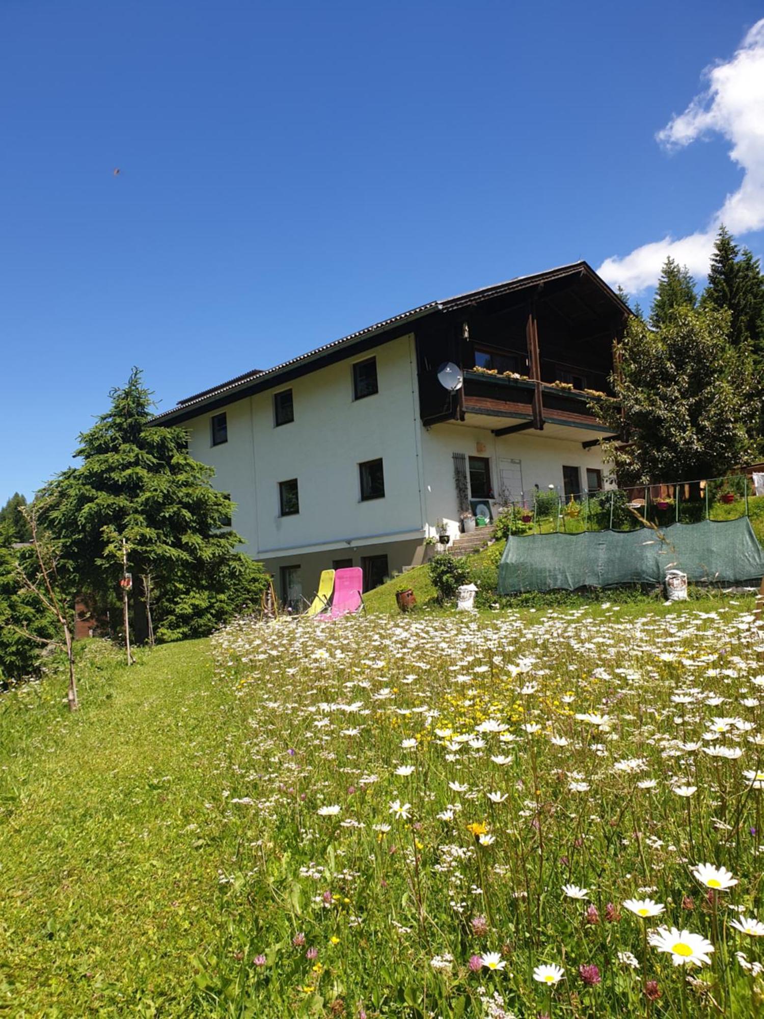 Ferienhaus Schaefer - Apartments - Wintersports - Family Holiday - Holiday With Your Dog - Rural & Scenic Flattnitz Exterior foto