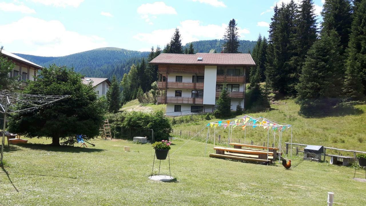 Ferienhaus Schaefer - Apartments - Wintersports - Family Holiday - Holiday With Your Dog - Rural & Scenic Flattnitz Exterior foto